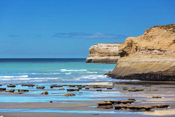 Costa da Patagônia na argentina — Fotografia de Stock