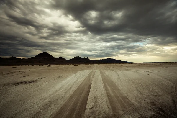 Drought land in dry desert — Stock Photo, Image