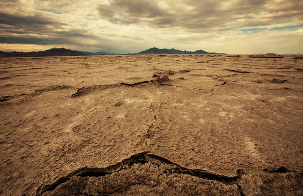 Drought land in dry desert — Stock Photo, Image