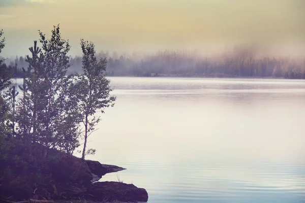 Brouillard sur un lac calme — Photo