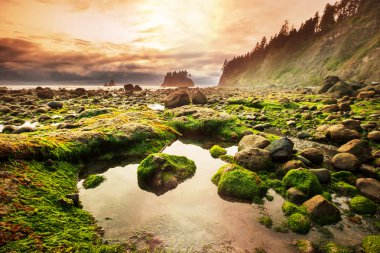 Olympic National Park landscapes clipart