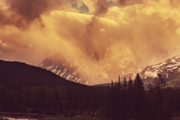 Montanhas e floresta no Alasca — Fotografia de Stock