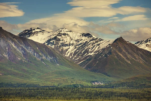 Панорама гір на Алясці — стокове фото