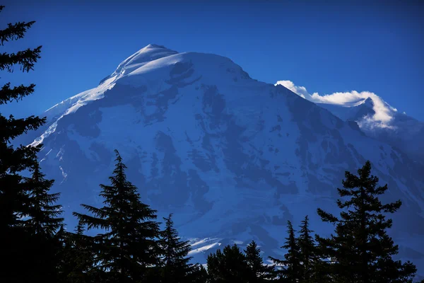 Parque Nacional Mount Rainier — Fotografia de Stock