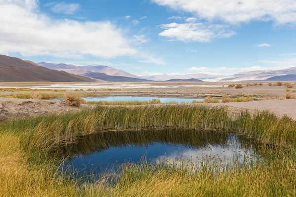 Paysages dans le nord de l'Argentine — Photo