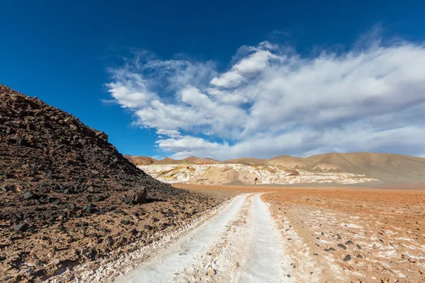 Krajiny severní Argentina — Stock fotografie