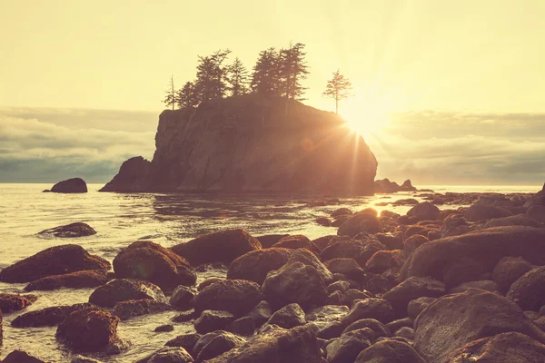 Olympic National Park landscapes — Stock Photo, Image