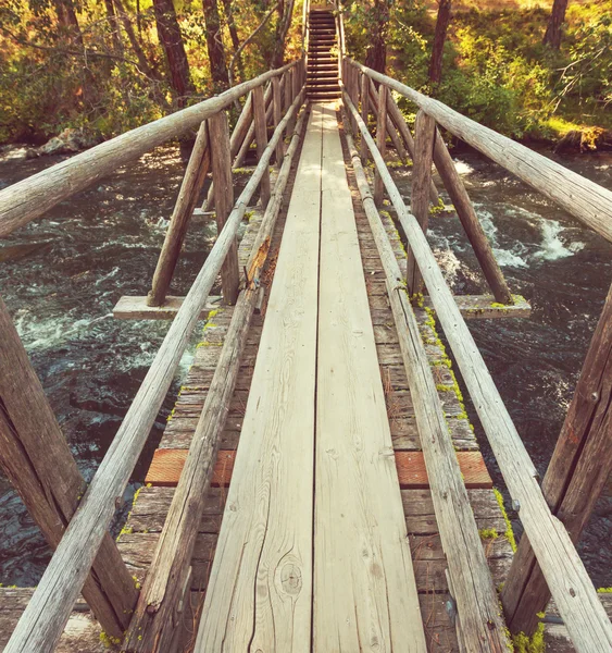 Bron i skogen över snabb flod — Stockfoto