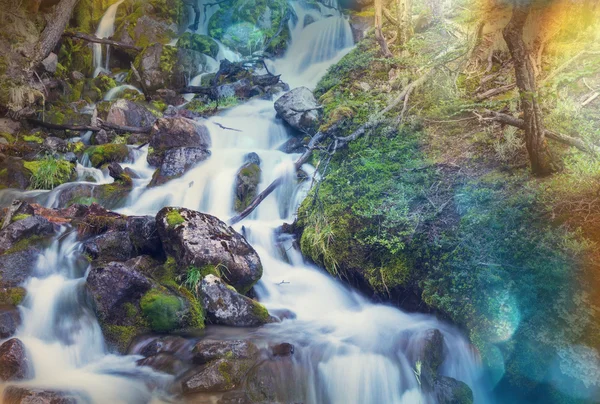 Vattenfall i skogen på stenar — Stockfoto