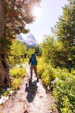 buzul parkta yürüyüş