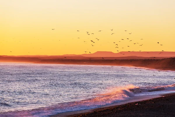 Zee zonsondergang Panorama — Stockfoto