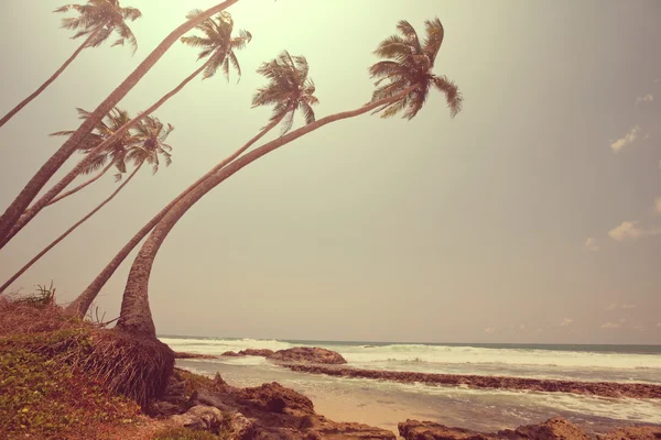 Serenity tropical beach — Stock Photo, Image