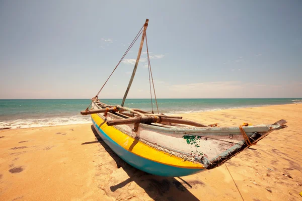 Sri lanka teknede Balık tutma — Stok fotoğraf