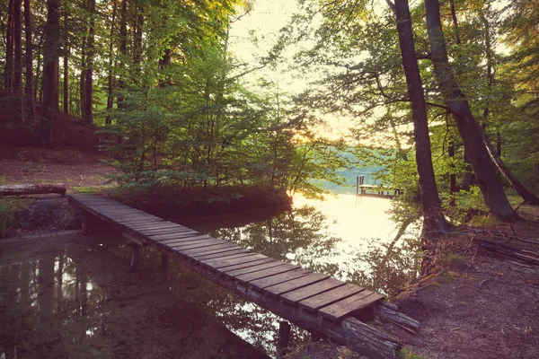 Lake in forest with bridge — Stock Photo, Image