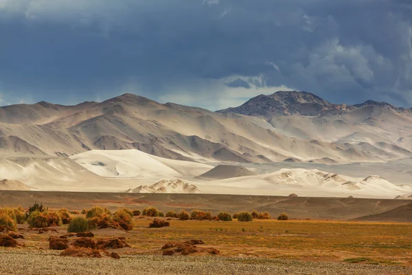 Landskapet i norra Argentina — Stockfoto