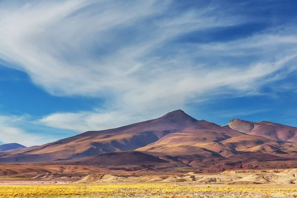 Landschaften im Norden Argentiniens — Stockfoto