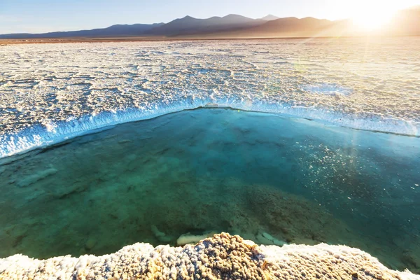 Salinas salty lake in Argentina — Stock Photo, Image