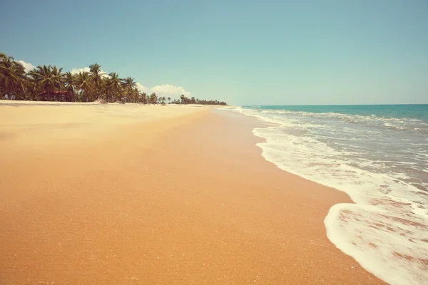 Tropisch strand panorama — Stockfoto