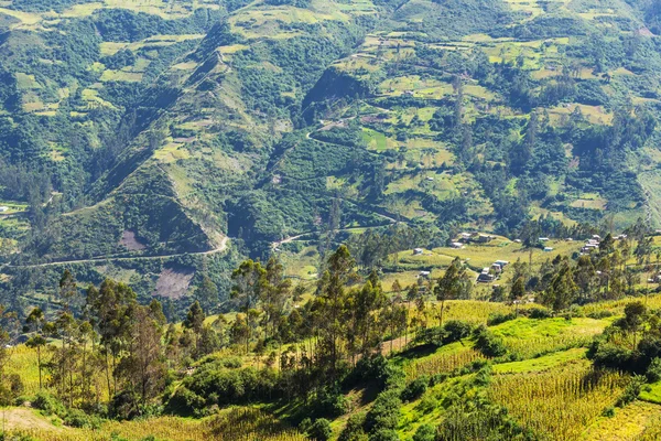 Campos em colinas em Bolívia — Fotografia de Stock