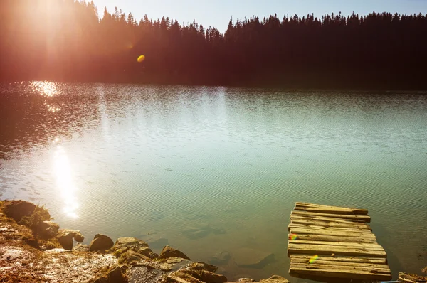 Lake with boardwalk at forest — Stock Photo, Image