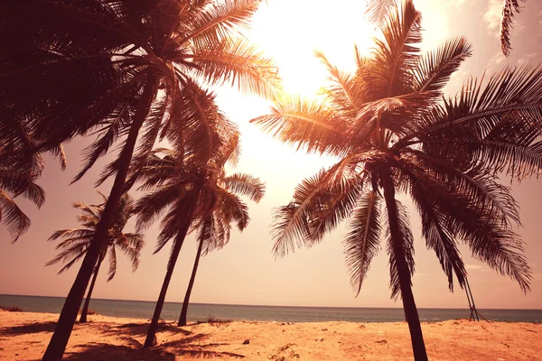 Serenidad playa tropical — Foto de Stock