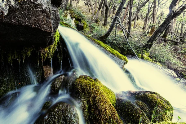 Cascata nella foresta sulle rocce — Foto Stock