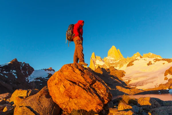 Mand vandrer på Fitz Roy - Stock-foto