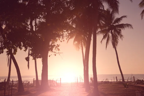 Serenity tropical beach — Stock Photo, Image