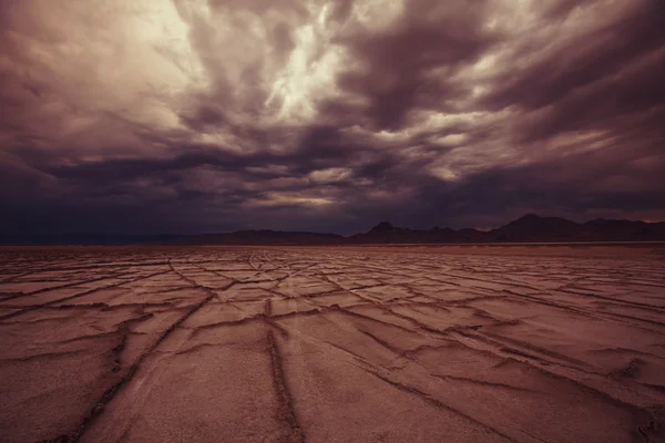 Panorama da terra seca — Fotografia de Stock