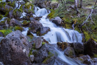 Şelale, orman creek buzlu