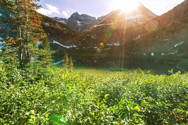 Národní park Glacier, Montana. — Stock fotografie