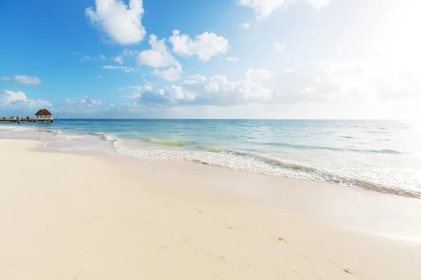 Plage tropicale Sérénité — Photo