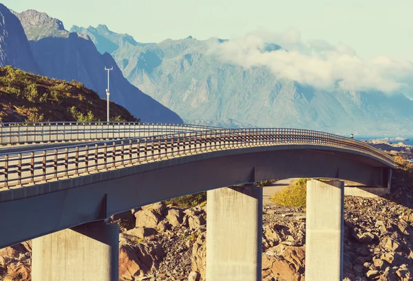 Bron och vägen i Norge — Stockfoto