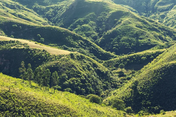 Verão colinas verdes — Fotografia de Stock