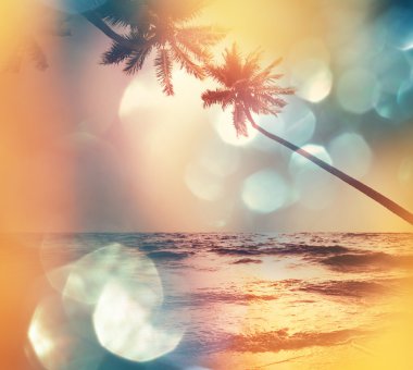 Serenity tropikal plaj