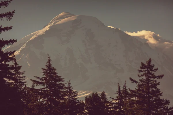 Mount rainier nationalpark — Stockfoto