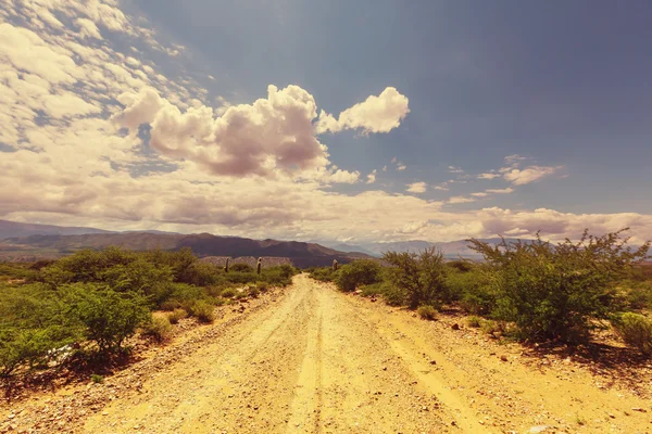 Landschaften im Norden Argentiniens — Stockfoto