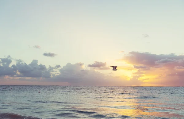 Schöner Sonnenuntergang am Meer — Stockfoto