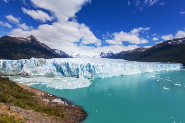 Arjantin 'de perito moreno buzulu