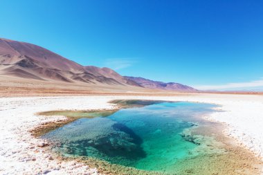 Salinas Gölü Arjantin