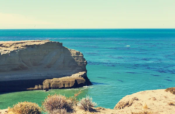 Costa da Patagônia na argentina — Fotografia de Stock