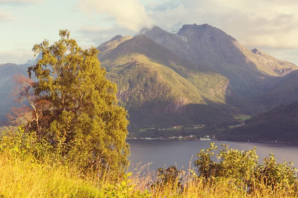 Норвежские пейзажи — стоковое фото