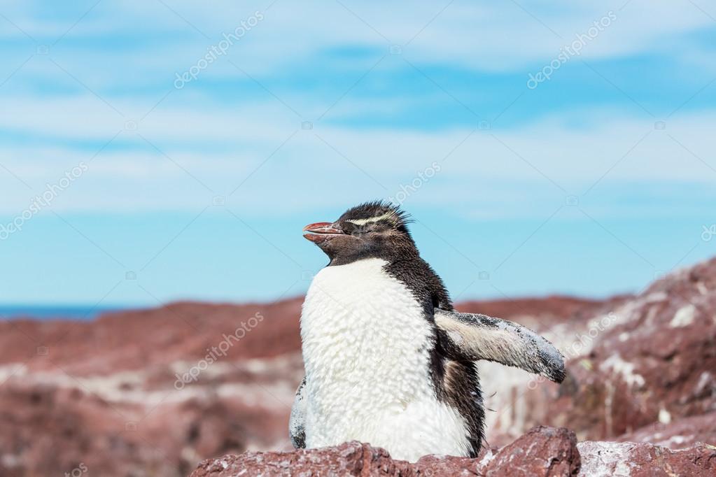 kamchatka