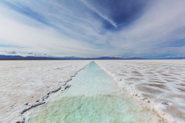 Salinas Gölü Arjantin