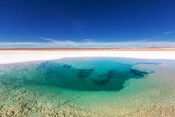 萨利纳斯湖在阿根廷 — 图库照片