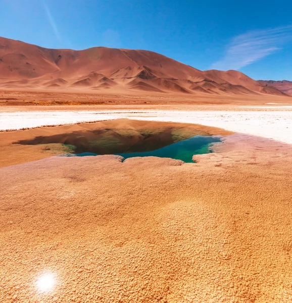 Salinas lake in Argentina — Stock Photo, Image