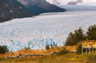 Arjantin 'de perito moreno buzulu