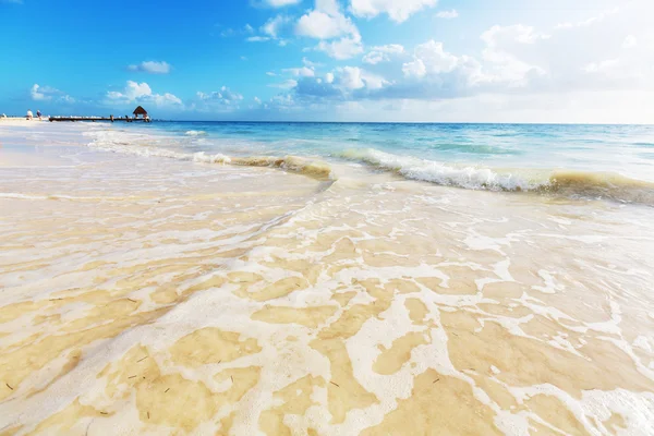 Serenity tropical  beach — Stock Photo, Image
