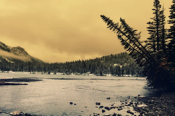 Glacier Park in winter — Stock Photo, Image