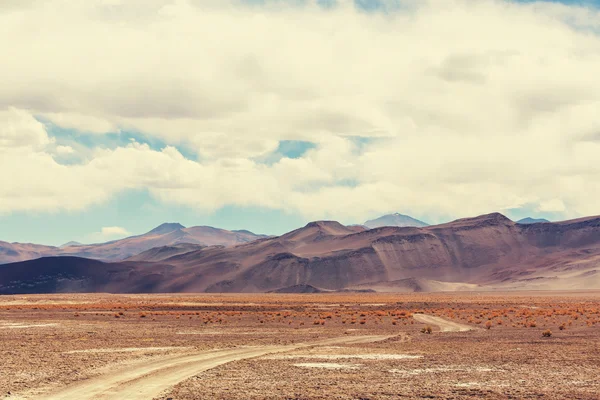 Landschaften im Norden Argentiniens — Stockfoto